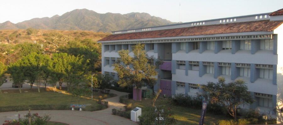 Universidades en Puerto Vallarta